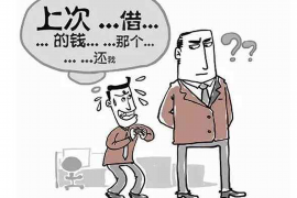 随县融资清欠服务